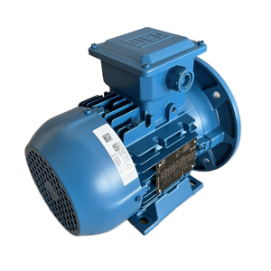 Motor de Inducción Trifásico WEG W22, Eficiencia IE4, Protección IP65, Refrigeración TEFC, 132kW, 50/60Hz, Brida de Hierro Fundido, 12/18 Meses - Product Image 3