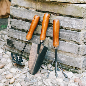 Ensemble d'outils de désherbage en acier au carbone personnalisable avec manche en bois pour le jardinage et la transplantation, compatible OEM - Product Image 1