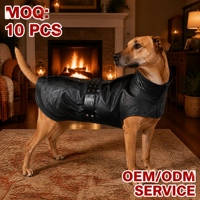 Veste d'hiver pour chien de créateur en cuir noir carbone et fourrure de mouton, la plus chaude, avec ceinture à œillets métalliques, prix de gros