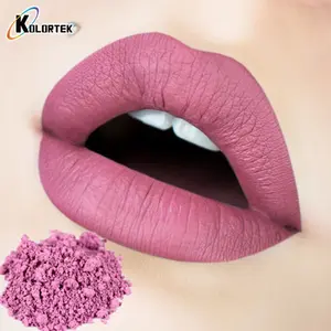 Matte Pigment Lippenstift Kleuren Ijzeroxide Pigment Poeder Voor Cosmetische