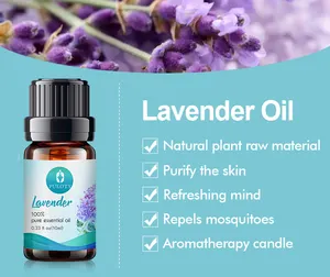 Pabrik grosir sampel gratis minyak esensial lavender label pribadi Minyak lavender kualitas atas organik alami murni untuk rambut