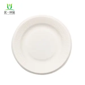 Bio Compostable Degradable Tableware Dinner Sets 7inch Disposable Sugarcane Bassage Paper Pulp Plate - Buy Disposable Tableware