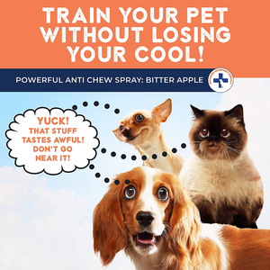 Spray Corrector de Comportamiento para Perros de Marca Propia, Efecto Rápido, Anti-Entrenamiento, Sabor a Manzana, Sin Masticar - Product Image 2