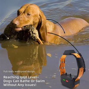 Collier de suivi GPS pour chien de chasse, vente en gros usine, avec <span class=keywords><strong>carte</strong></span> hors ligne, fonction de géorepérage et d'entraînement, localisateur GPS étanche pour animaux de compagnie - Product Image 6