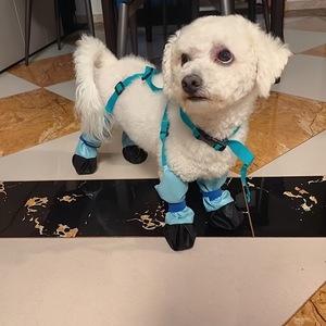 Bottes à bretelles réglables pour chiens hiver <span class=keywords><strong>neige</strong></span> pluie randonnée <span class=keywords><strong>pattes</strong></span> protecteur extérieur marche <span class=keywords><strong>chien</strong></span> bottes chaussures - Product Image 5