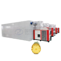 Fabrieksdirect multifunctionele automatische ananasdroogmachine, fruitdehydrator, ananasdroger