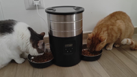 Distributeur de nourriture pour animaux de compagnie en acier inoxydable Wifi 4.5L Double bols électriques Mangeoire pour chiens Mangeoire automatique pour chats pour 2 chats
