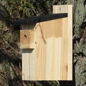 CAJA NIDADORA DE MADERA para tetas <span class=keywords><strong>grandes</strong></span> (32MM) o 28MM - Product Image 3