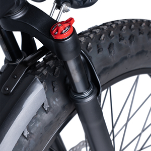 1000W <b>Fat</b> Tire Bike 48V 15Ah Lithium Battery Aluminum <b>Frame</b> Hydraulic Disc Adult Urban Off Road <b>Ebike</b> - Product Image 5
