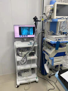 Harga Promosi Gastroskop dan Kolonoskop Hewan Sistem Endoskopi Medis Khusus Gastrointestinal Endoskop Gastroskop - Product Image 2