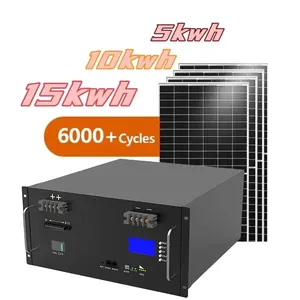 48v 30kw 40kwh 50kw 태양 전지 팩 51.2 충전식 태양열 Lifepo4 프리즘 셀 랙 장착 200ah 리튬 배터리 Bms
