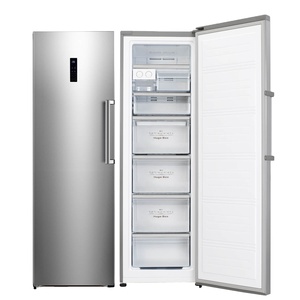 Congelador Vertical de Acero Inoxidable con Descongelación Automática y Control Electrónico - Product Image 1