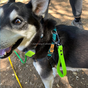 सक्रिय कुत्तों के प्रबंधन के लिए और उन्हें व्यस्त क्षेत्रों में बंद रखने के लिए पीवीसी ट्रैफिक हैंडल के साथ नायलॉन कारबिनर - Product Image 6