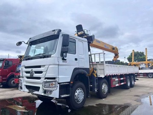 Grúa Montada en Camión Todoterreno H0WO 4x4, Cabina Doble, 180HP, Tracción en las Cuatro Ruedas, para Ingeniería de Campo - Product Image 2