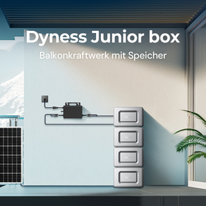 Centrale électrique pour balcon Dyness plug & play 800w 1200watt Allemagne avec stockage 1,6 kwh lifepo4 Hoymiles Ensemble de panneaux solaires micro-onduleur - Product Image 4