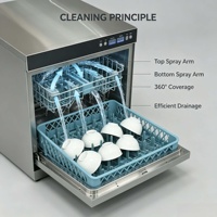 Lavavajillas de Vidrio Tipo Cajón Integrado, Carcasa de Acero Inoxidable 304, Máquina Comercial para Cocina con Desinfección a Alta Temperatura