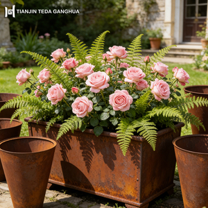 Fioriera in Acciaio Corten e Bordo per Fioriera in Acciaio Corten Personalizzato Tagliato al Laser ASTM A606 Acciaio Resistente agli Agenti Atmosferici - Product Image 4