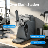 Machine à granita compacte de bureau personnalisable, silencieuse, à refroidissement rapide par compresseur, avec réservoir unique standard, pour la maison et le commerce