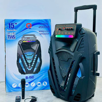 Enceinte portable 15 pouces avec woofer 80W, étanche IPX3, micro intégré, écran et batterie 3000-5000mAh pour l'extérieur