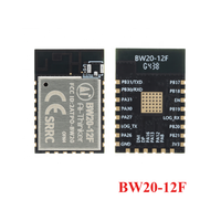 BW20-12F WiFi Dual-band + BLE5.0 BT modul nirkabel Dual-core MCU BW20 RTL8711 modul Chip BW20-12F-Kit papan pengembangan