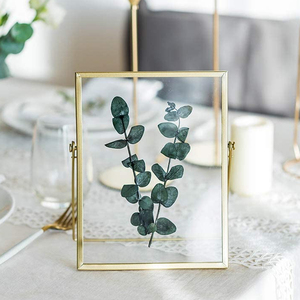 Cadres <span class=keywords><strong>photo</strong></span> dorés flottants, cadre <span class=keywords><strong>photo</strong></span> double face <span class=keywords><strong>en</strong></span> <span class=keywords><strong>verre</strong></span> pour plantes, à suspendre au mur ou à poser sur table - Product Image 2