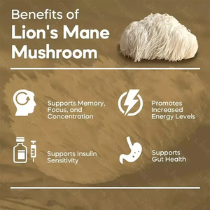 Oem nootropic bổ sung sư tử của bờm nấm viên nang chiết xuất Vegan viên nang nhãn hiệu riêng Bộ nhớ não hỗ trợ sư tử bờm - Product Image 6