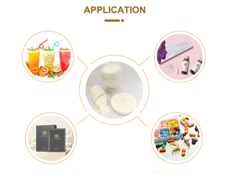 Factory wholesale collagen powder peptide fish collagen peptide powder for beauty