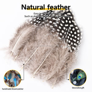 Pluma al por mayor 120 piezas 2-3 pulgadas pluma <span class=keywords><strong>de</strong></span> faisán <span class=keywords><strong>de</strong></span> gallina <span class=keywords><strong>de</strong></span> <span class=keywords><strong>Guinea</strong></span> para manualidades DIY sombreros atrapasueños decoración gran oferta para bodas - Product Image 1