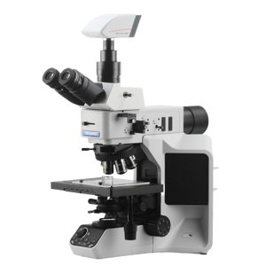 Material Biológico de Grado Industrial y de Nivel de Investigación para Laboratorio Médico y Enseñanza Científica - Product Image 6