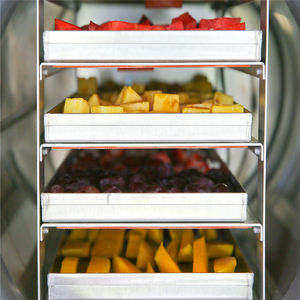 Machine de lyophilisation TCA XINDAXIN de haute qualité, petits congélateurs de lyophilisation, machine de lyophilisation de bonbons - Product Image 3