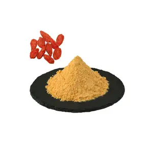 Bacca di Goji cinese Wolfberry succo in polvere Wolfberry Peptide estratto 99% Goji in polvere