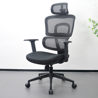 Chaise de bureau ergonomique professionnelle avec support lombaire et accoudoirs pour le travail de bureau et le bureau informatique