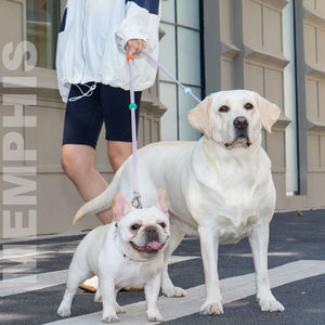 ชุดปลอกคอสุนัขและเชือกอเนกประสงค์แบบปรับได้ - Product Image 2