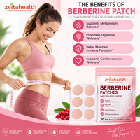 Patch transdermique de berbérine à marque privée pour le contrôle de l'appétit, patch amincissant détoxifiant, marque privée, 30 pièces, OEM