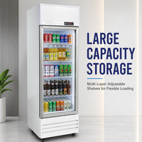 Réfrigérateur vertical de supermarché à porte vitrée pour boissons, vitrine réfrigérée pour boissons, réfrigérateur Coca-Cola à porte vitrée
