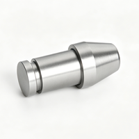 Pin Penunjuk Lokasi Baja Tahan Karat Kelas Medis, Poros Presisi, Dowel Penyelarasan Presisi, Finishing Pasifasi Berbahu, Kepala 6mm