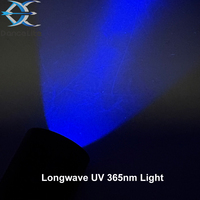 Lampe torche LED UV longue portée OEM Mini S22 365nm, rechargeable USB-C, lumière noire avec batterie intégrée