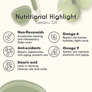 Huile de Tamanu de marque privée sans hexane pour prévenir l'apparition des boutons et réparer les peaux sèches rugueuses huile de Tamanu légère - Product Image 3