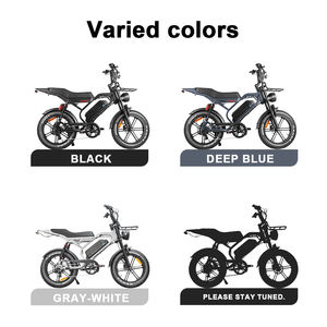 Expédition rapide depuis l'entrepôt en Italie - Vélo électrique QMWHEEL S20 Pro - Vélo de montagne électrique - Batterie amovible - Tout-terrain - VTT électrique - Product Image 4