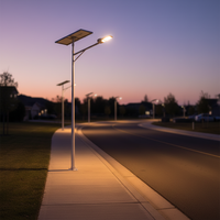 Lampe solaire LED extérieure IP66 en aluminium anti-corrosion, luminosité réglable, résistante aux basses températures, 40W-100W, pour parking/industrie