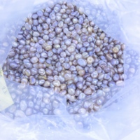 Mutiara Air Tawar Keshi 6-8mm Bentuk Oval Beras Tidak Beraturan, Campuran Warna Ungu Pink Champagne, Mutiara Alami