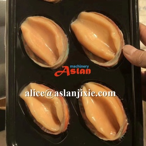 Macchina per Confezionamento Sottovuoto Semi-Automatica <span class=keywords><strong>ASLAN</strong></span> MACHINERY ASL-TTBZJ per Alimenti e Tabacco, Ideale per Pollame, Carne di Maiale e Frutti di Mare - Product Image 4