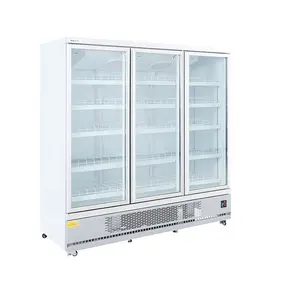 Upright Glass Display Freezer Commercial Refrigerator Glass Door Chiller Upright Display Freezer