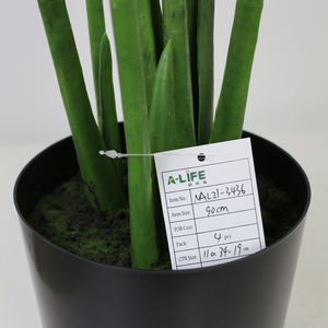 Plantes <span class=keywords><strong>albo</strong></span> Monstera de 90cm, décoration pour le jardin, la maison - Product Image 4