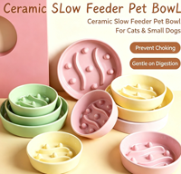 Bol de nourrissage lent pour animaux de compagnie, en céramique, pour chats et chiens, anti-étouffement, alimentation saine pour chats et petits chiens