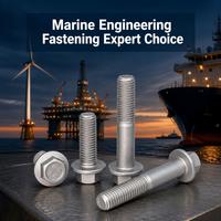 Boulon à tête hexagonale recouvert de flocons de zinc sans chrome, testé 5000 heures en pulvérisation de sel, résistant à la corrosion marine, fabricant de fixations
