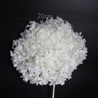 Boule de fleurs d'hortensia naturelles préservées Anna, couleur blanche populaire, pour décoration de mariage, fournitures de fête, centre de table floral