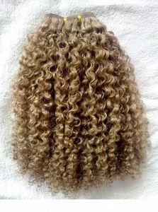 Cheveux humains bouclés crépus afro bruts blond miel birman 27 petites mèches de cheveux crépus afro bouclés ondulés Jerry Curly 100g - Product Image 4