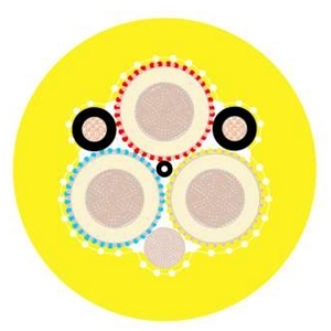 टाइप 41 पीछे <span class=keywords><strong>3</strong></span> कोर के रूप में Nzs मानक 3x95m2 खनन केबल के बिना - Product Image 5