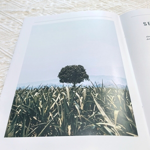 Impresión <span class=keywords><strong>de</strong></span> Libros con Encuadernación Perfecta, a Todo Color, con Ilustraciones Personalizadas en Papel <span class=keywords><strong>de</strong></span> Arte - Product Image 5